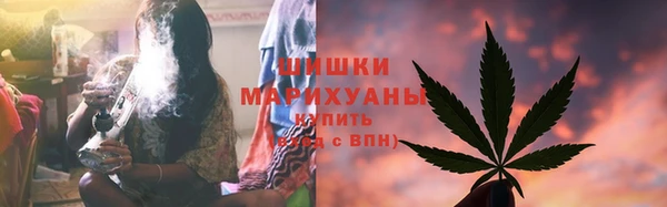тгк Абаза