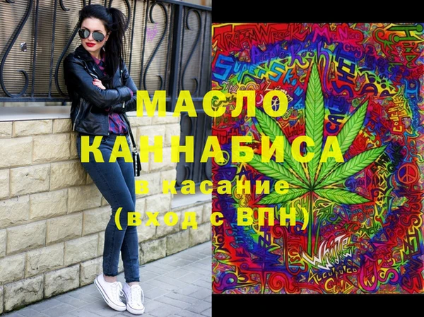 тгк Абаза
