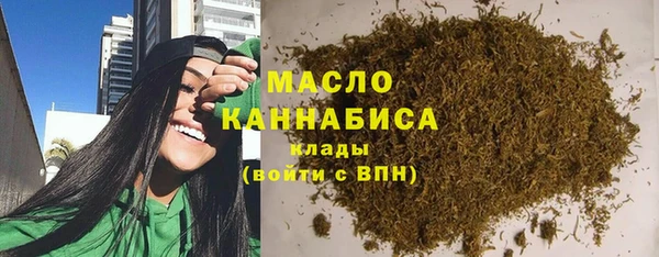 тгк Абаза