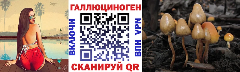 Галлюциногенные грибы Psilocybine cubensis Мостовской
